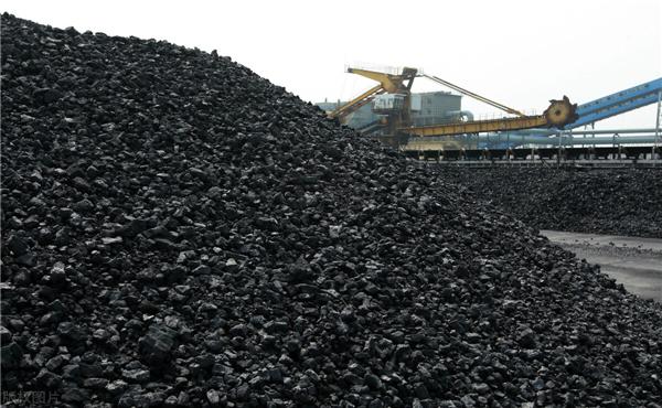 大商所焦煤期货一手手续费是多少钱