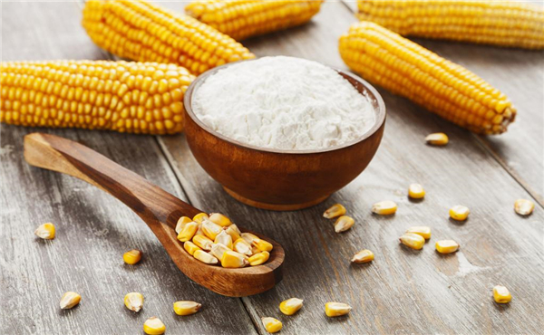玉米淀粉期货开户条件及流程