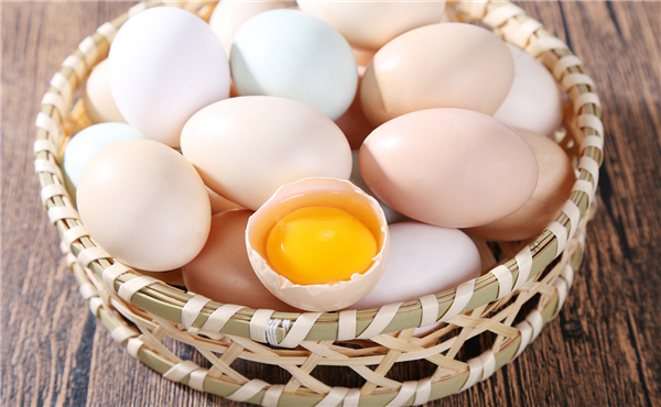 鸡蛋期货开户可以在网上办理吗
