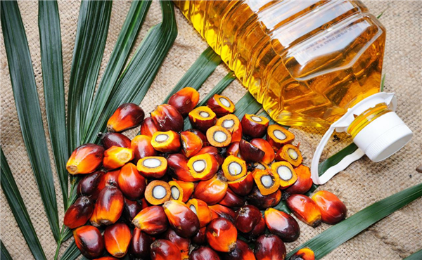 棕榈油期货波动一个点多少钱 做一手是多少吨